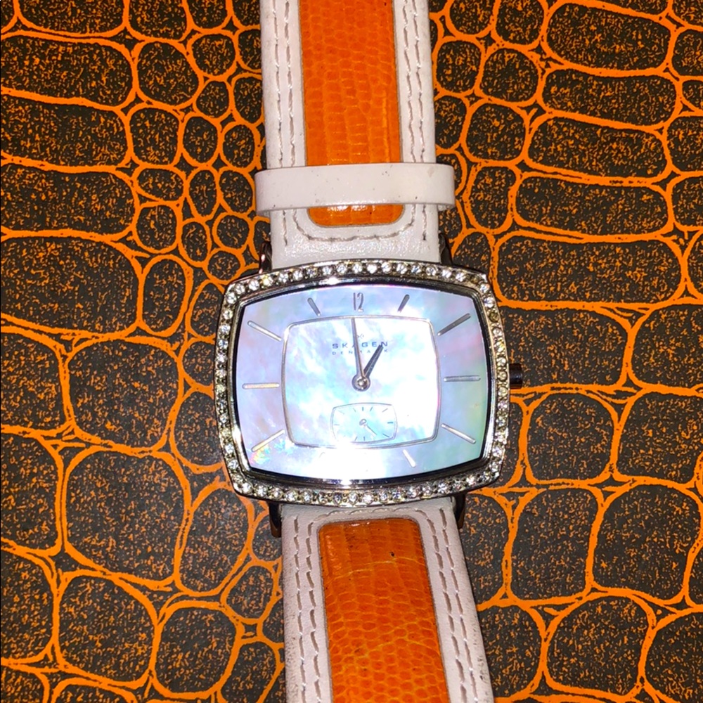 Unisex Skagen Denmark Custom Made Lizard Skin - image 1